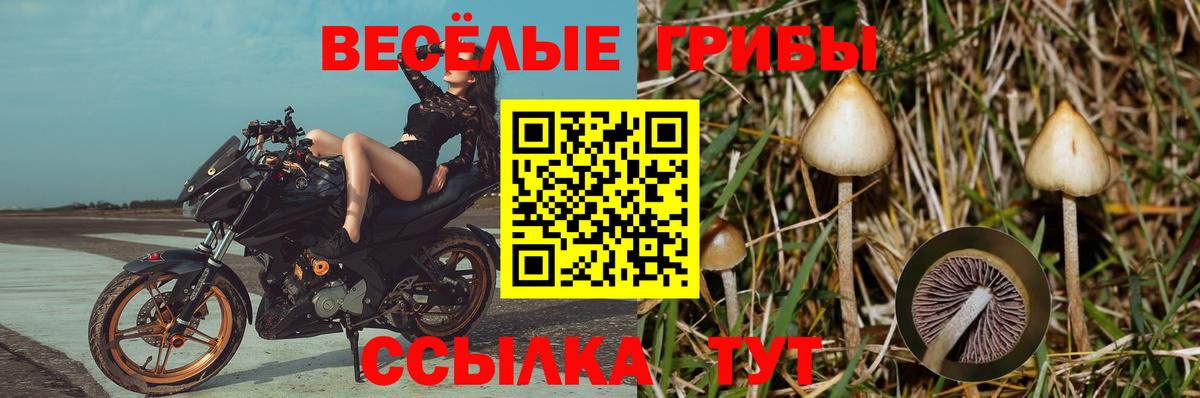 Галлюциногенные грибы мицелий Усть-Джегута